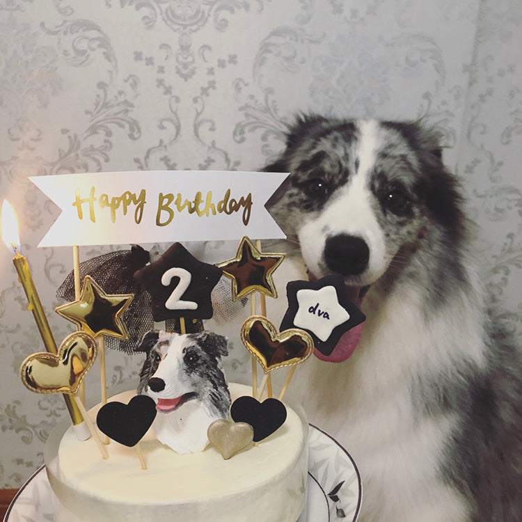 Pet Birthday Cake Topper | Pet Cake Topper | Dog Cake Topper | Cat Cake Topper | Gift